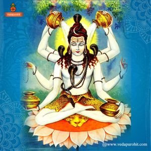 Mrityunjaya Homa